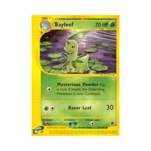 Pokemon TCG Bayleef U Expedition Base Set (English Ver.)
