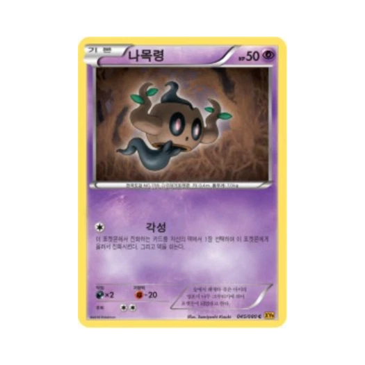 포켓몬 TCG 나목령 C 천공의 분노 (한글판)