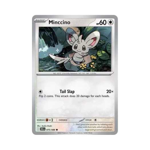 Pokemon TCG Minccino C Black Bolt (English Ver.)
