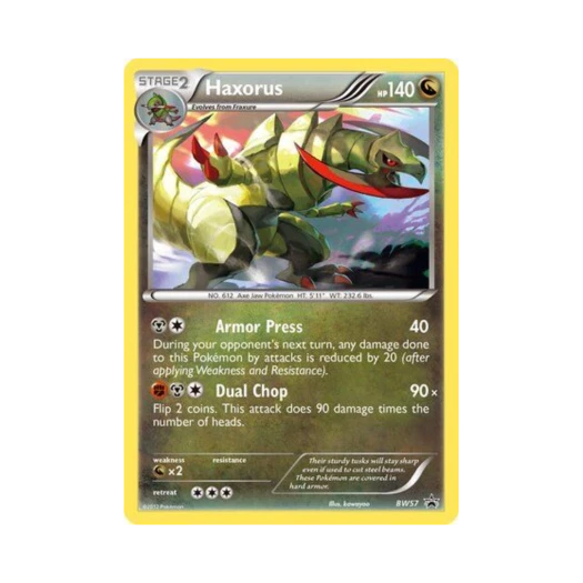포켓몬 TCG 액스라이즈 P 블랙 & 화이트 프로모카드 (영문판)