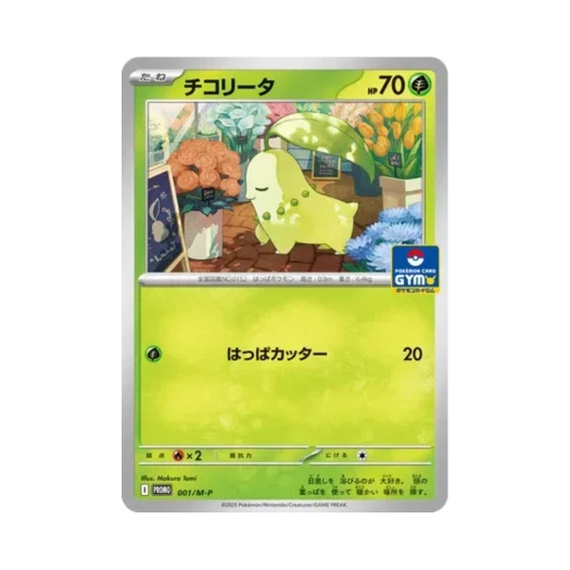 포켓몬 TCG 치코리타 P 메가 에볼루션 프로모카드 (일어판)