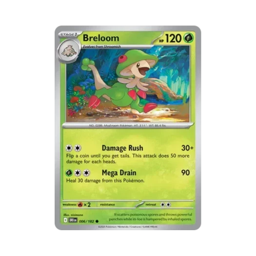 포켓몬 TCG 버섯모 C 데스티니드 라이벌스 (영문판)
