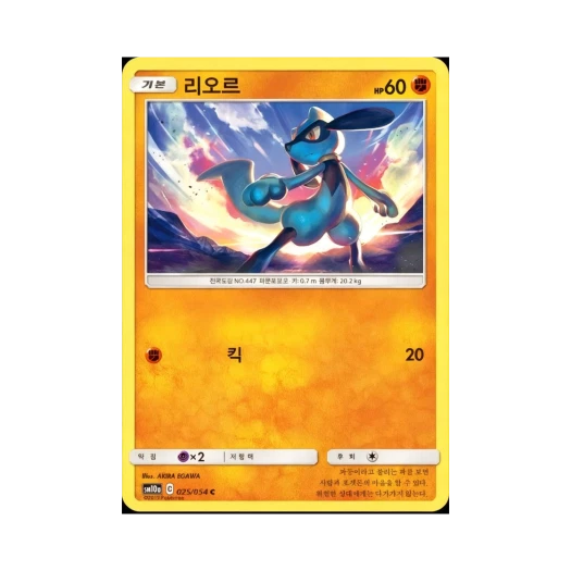 포켓몬 TCG 리오르 C GG엔드 (한글판)