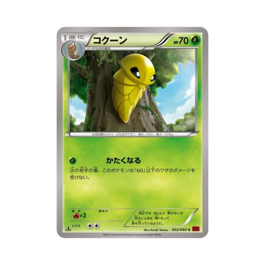 포켓몬 TCG 딱충이 C Y컬렉션 퍼스트 에디션 (일어판)