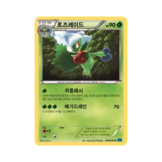 포켓몬 TCG 로즈레이드 U 와일드 블레이즈 (한글판)