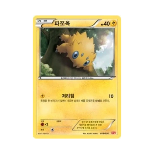 포켓몬 TCG 파쪼옥 BW 퍼스트 세트 불꽃의 진화 (한글판)