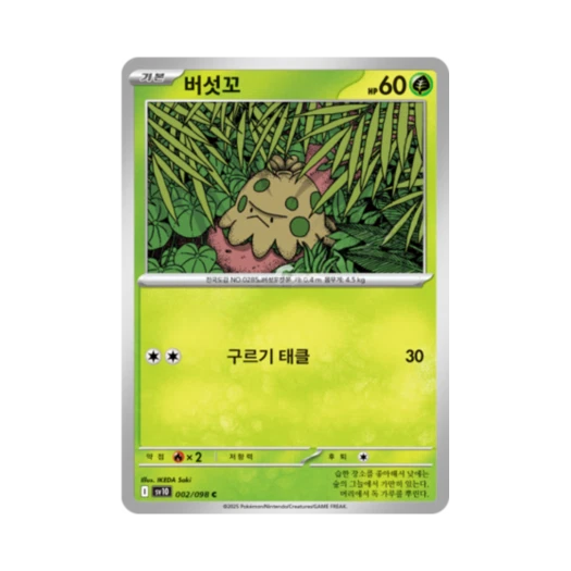 포켓몬 TCG 버섯꼬 C 로켓단의 영광 (한글판)