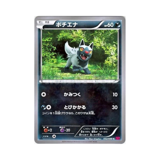 포켓몬 TCG 포챠나 C 팬텀게이트 퍼스트 에디션 (일어판)