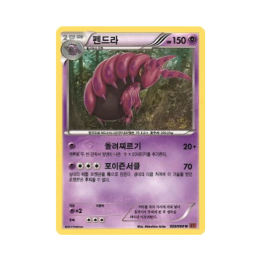 포켓몬 TCG 펜드라 U Y컬렉션 (한글판)