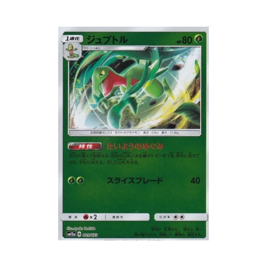 포켓몬 TCG 나무돌이 미러 GX 태그올스타즈 (일어판)