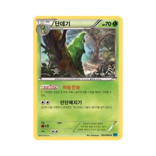 포켓몬 TCG 단데기 C 와일드 블레이즈 (한글판)