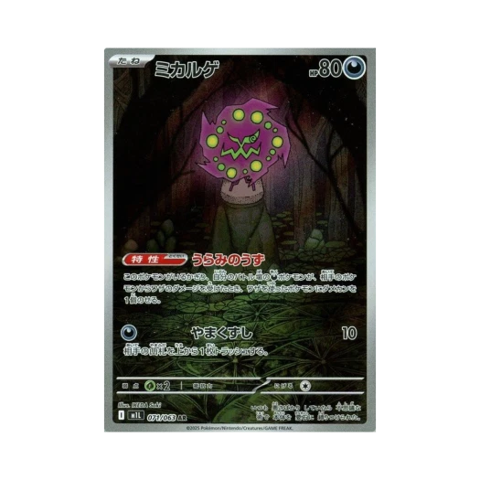 포켓몬 TCG 화강돌 AR 메가브레이브 (일어판) 카드 이미지