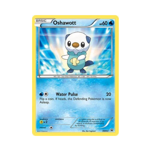 포켓몬 TCG 수댕이 점보 P 블랙 & 화이트 프로모카드 (영문판)