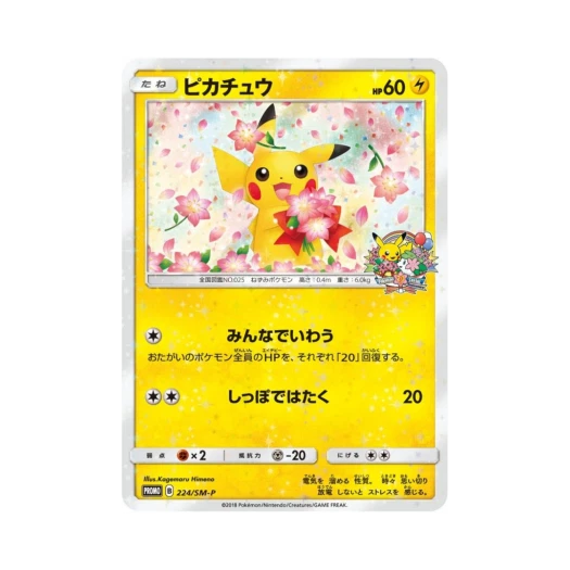 Pokemon TCG Pikachu P Sun & Moon Promos (Japanese Ver.)