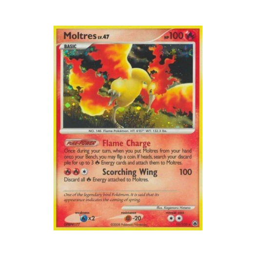 포켓몬 TCG 파이어 RH 마제스티 던 (영문판)