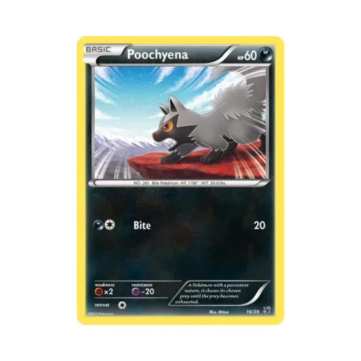 포켓몬 TCG 포챠나 칼로스 스타터 세트 (영문판)