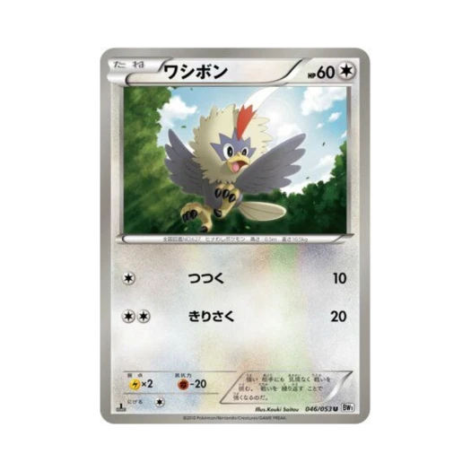 포켓몬 TCG 수리둥보 U 화이트 컬렉션 퍼스트 에디션 (일어판)