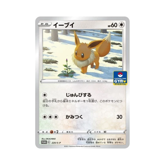 Pokemon TCG Eevee P Sword & Shield Promos (Japanese Ver.)