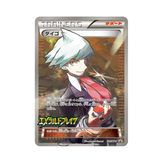 포켓몬 TCG 성호 P XY 프로모 카드 (일어판)