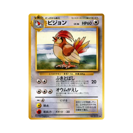 포켓몬 TCG 피죤 R 익스팬션 팩 (일어판)