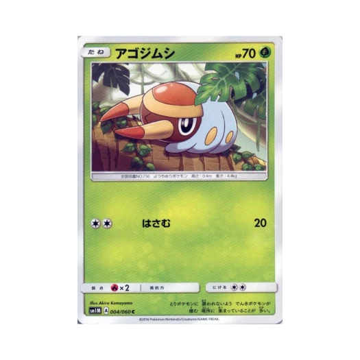 포켓몬 TCG 턱지충이 C 문 컬렉션 (일어판)