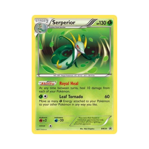 포켓몬 TCG 샤로다 P 블랙 & 화이트 프로모카드 (영문판)