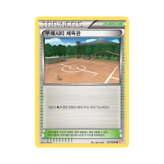 Pokemon TCG Aspertia City Gym U Cold Flare (Korean Ver.)
