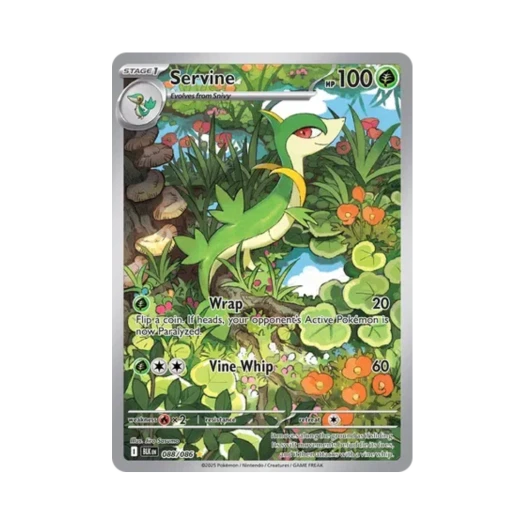 Pokemon TCG Servine IR Black Bolt (English Ver.)