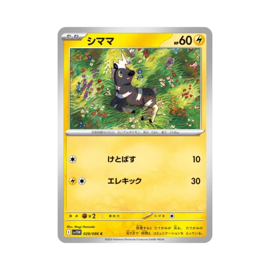 포켓몬 TCG 줄뮤마 C 화이트 플레어 (일어판)