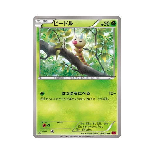 포켓몬 TCG 뿔충이 C Y컬렉션 퍼스트 에디션 (일어판)