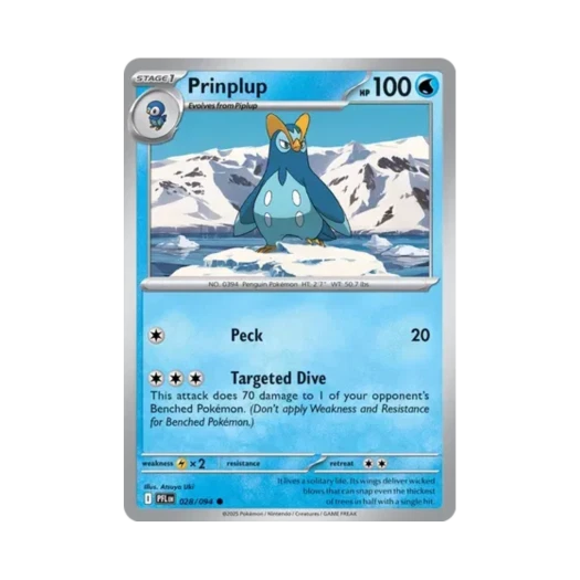 포켓몬 TCG 팽태자 C 판타스말 플레임즈 (영문판) 카드 이미지