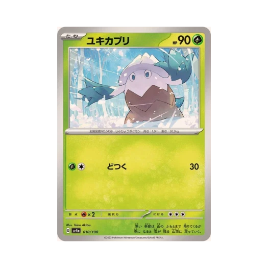 포켓몬 TCG 눈쓰개 샤이니 트레져 ex (일어판)