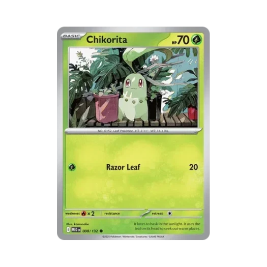 포켓몬 TCG 치코리타 C 메가 에볼루션 (영문판) 카드 이미지