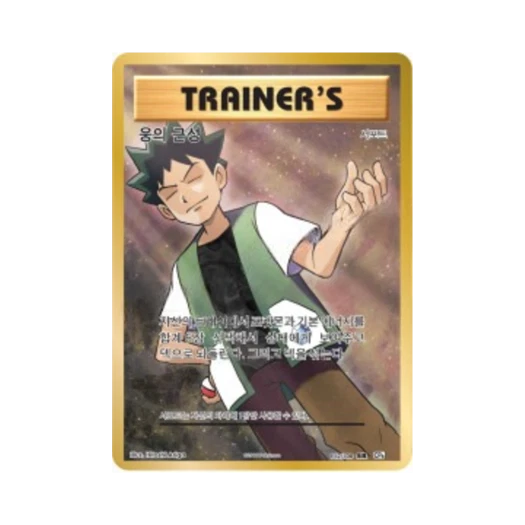 Pokemon TCG Brock's Grit SR 20th Anniversary (Korean Ver.)