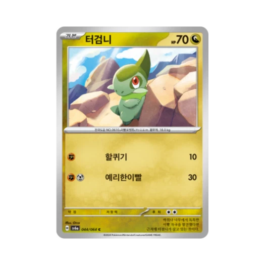 포켓몬 TCG 터검니 C 나이트원더러 (한글판) 카드 이미지