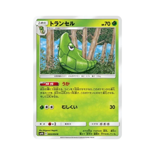 포켓몬 TCG 단데기 C 풀메탈월 (일어판)