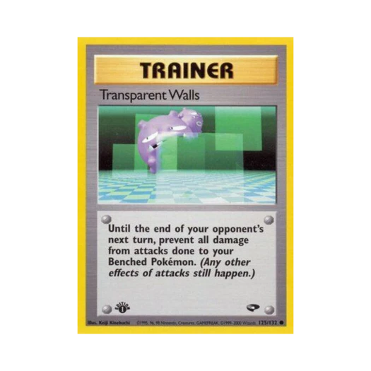 Pokemon TCG Transparent Walls C Gym Challenge (English Ver.)