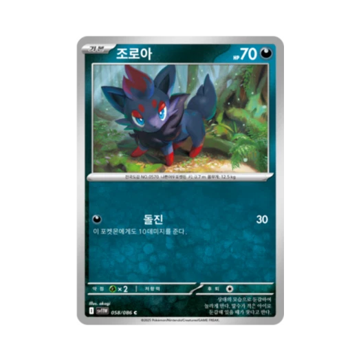 포켓몬 TCG 조로아 C 화이트플레어 (한글판)