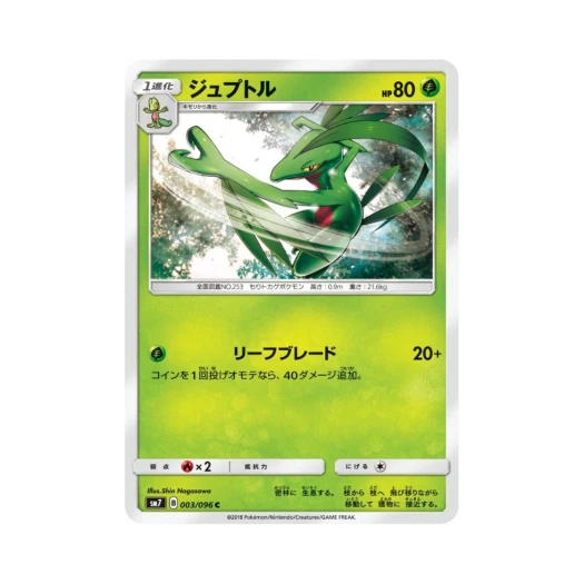 포켓몬 TCG 나무돌이 C 창공의 카리스마 (일어판)