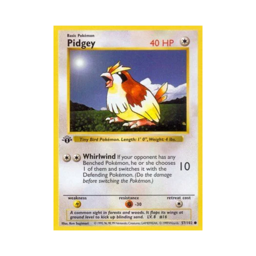 Pokemon TCG Pidgey C Base Set (English Ver.)