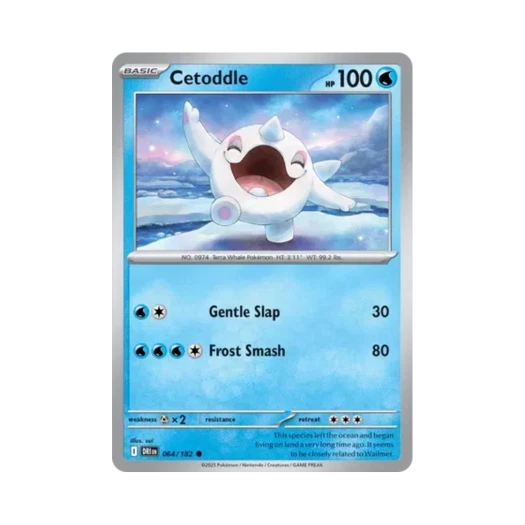 포켓몬 TCG 터벅고래 C 데스티니드 라이벌스 (영문판)