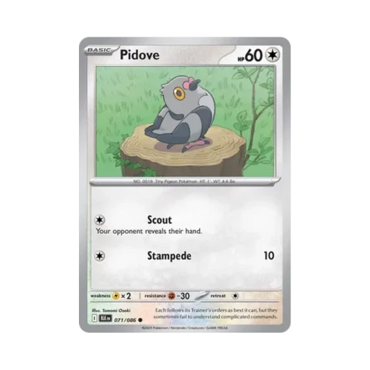 포켓몬 TCG 콩둘기 C 블랙볼트 (영문판) 카드 이미지