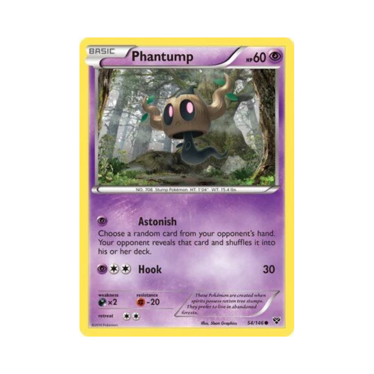 포켓몬 TCG 나목령 C XY (영문판)