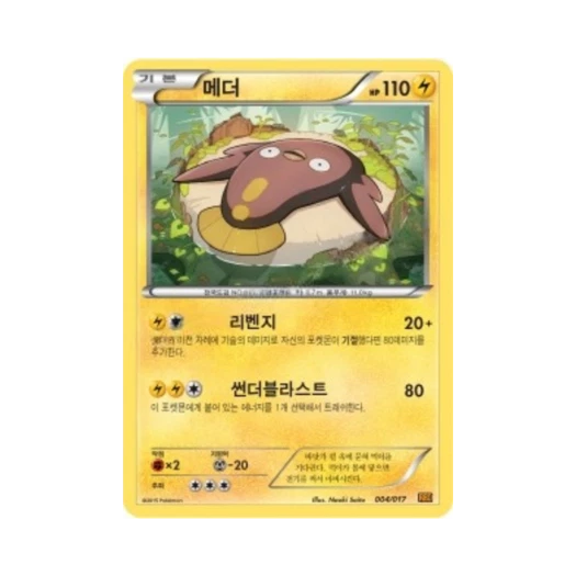 포켓몬 TCG 메더 XY 브레이크 덱 라이츄 BREAK (한글판)