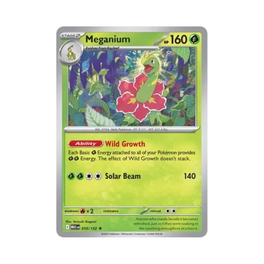 포켓몬 TCG 메가니움 R 메가 에볼루션 (영문판)