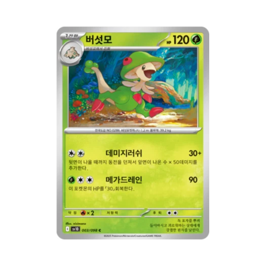 포켓몬 TCG 버섯모 C 로켓단의 영광 (한글판)