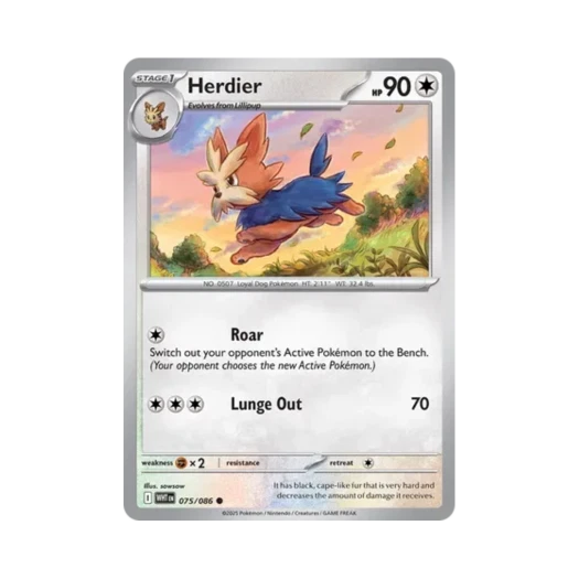 포켓몬 TCG 하데리어 C 화이트플레어 (영문판) 카드 이미지