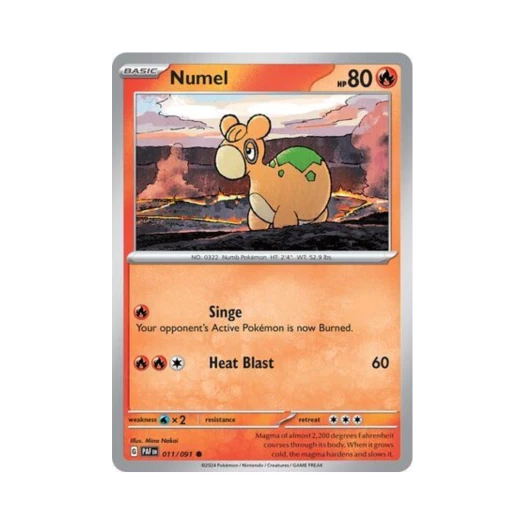 포켓몬 TCG 둔타 C 팔데아 페이트 (영문판) 카드 이미지