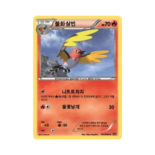 포켓몬 TCG 불화살빈 C Y컬렉션 (한글판)