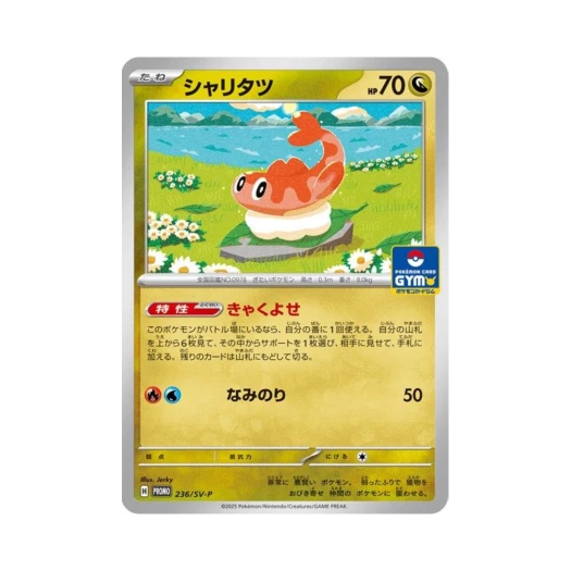 포켓몬 TCG 싸리용 P 스칼렛&바이올렛 프로모 카드 (일어판)